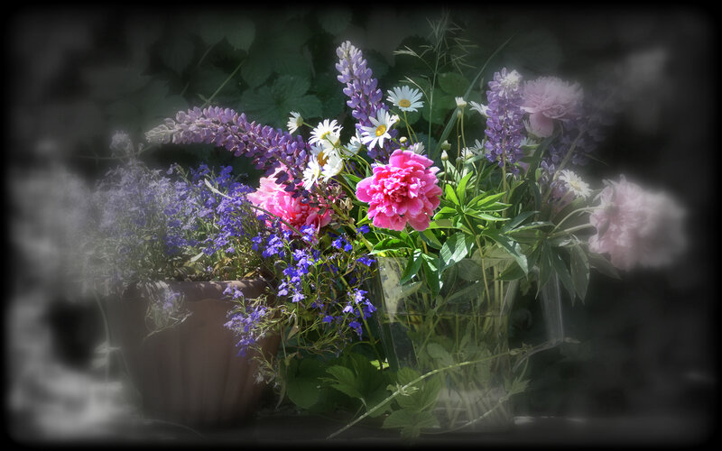 pivoine et lupin