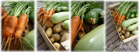 le_jardin