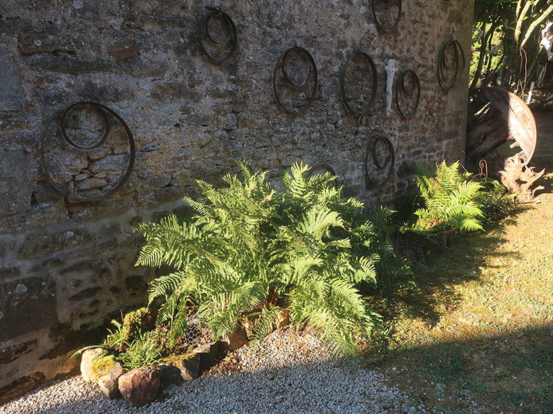 fougères a