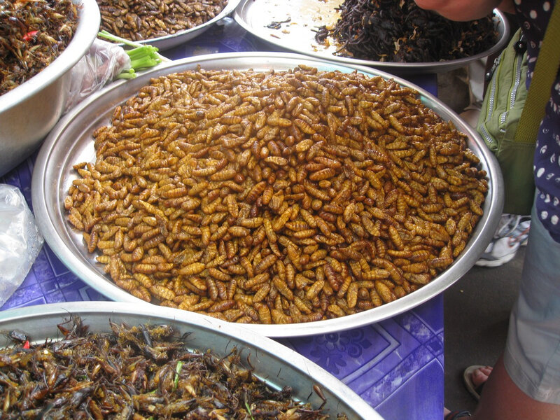 insectes grillés, Cambodge