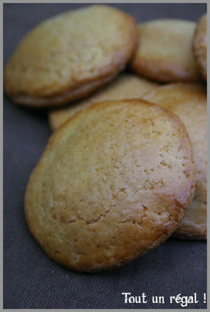 recettes BISCUITS FOURRÉS AU CHOCOLAT