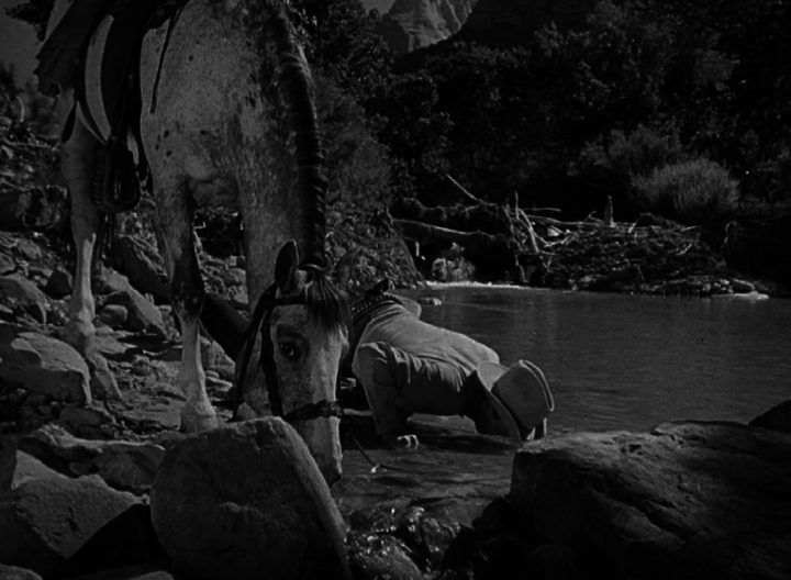 Short De Toth Ramrod