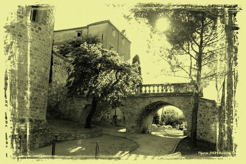Photos JMP © Koufra12 - St Bauzille - 10 mai 2015 - 00149 - 001