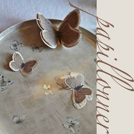 12papillon