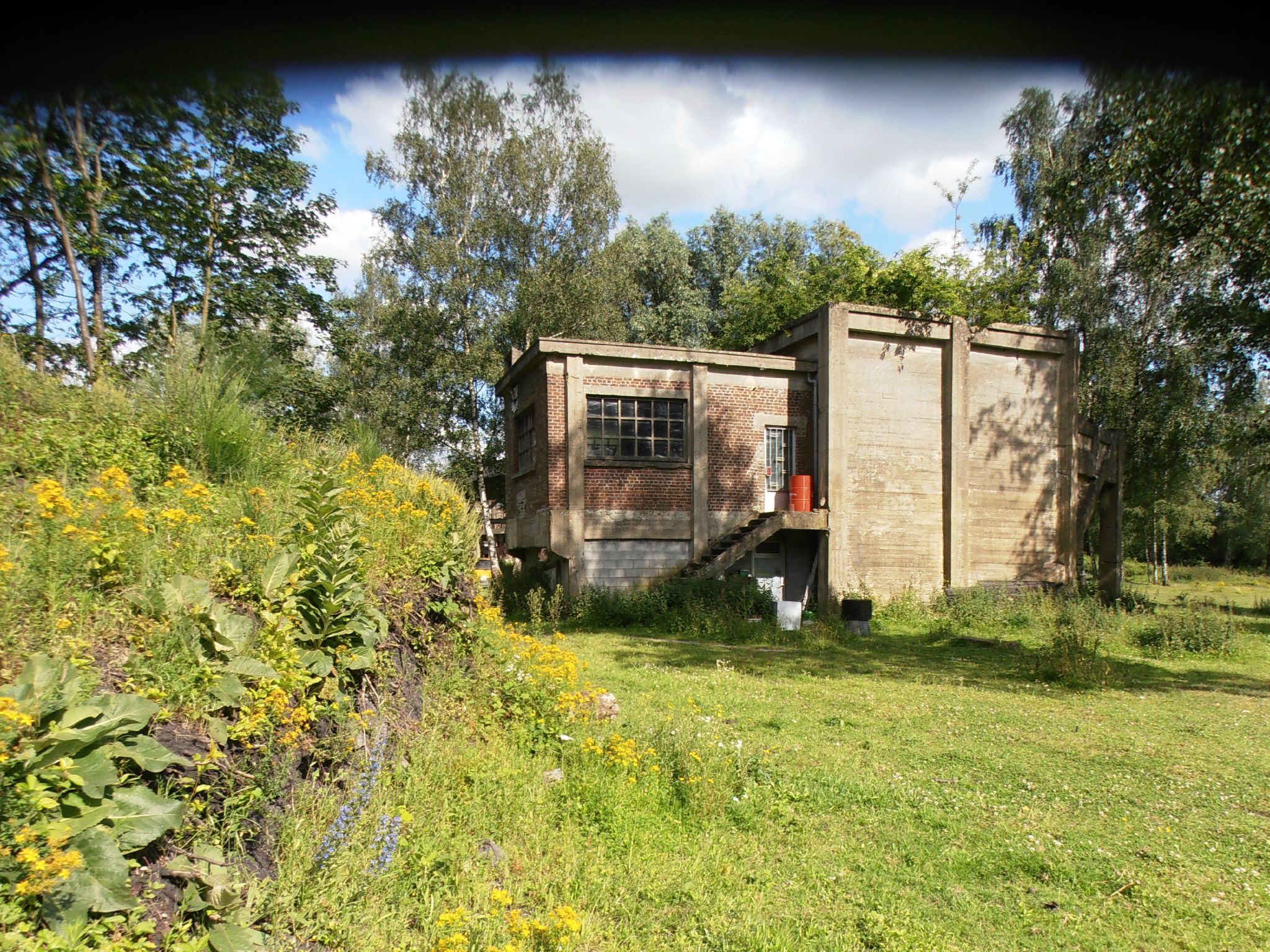 Marcasse - Triage 20120702_45