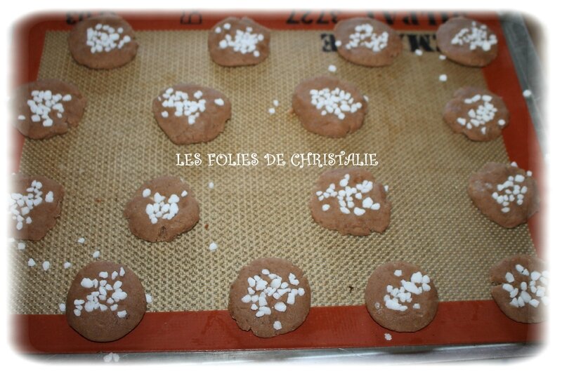 Biscuits choco 4