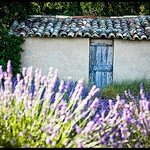 Brunet Alpes de Haute Provence Michel Delli