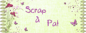 scrapapat