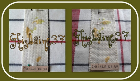 ghislaine37_salchatcol_col1