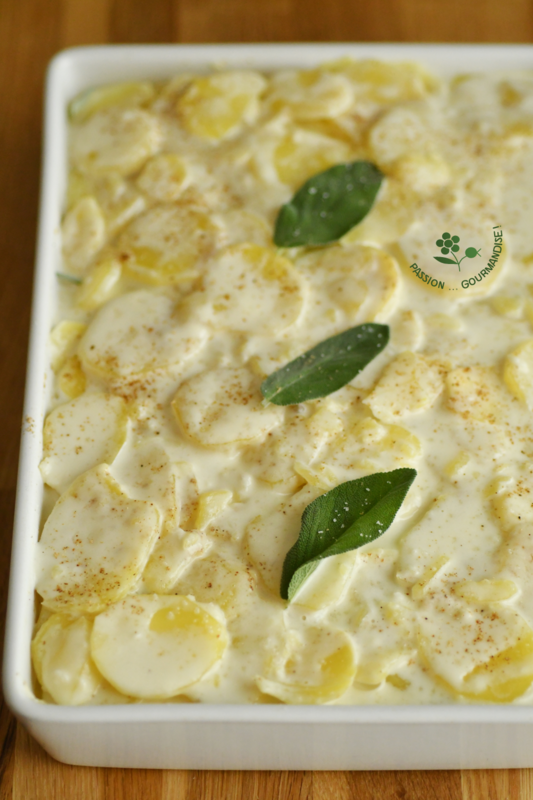 Gratin dauphinois à la sauge_3