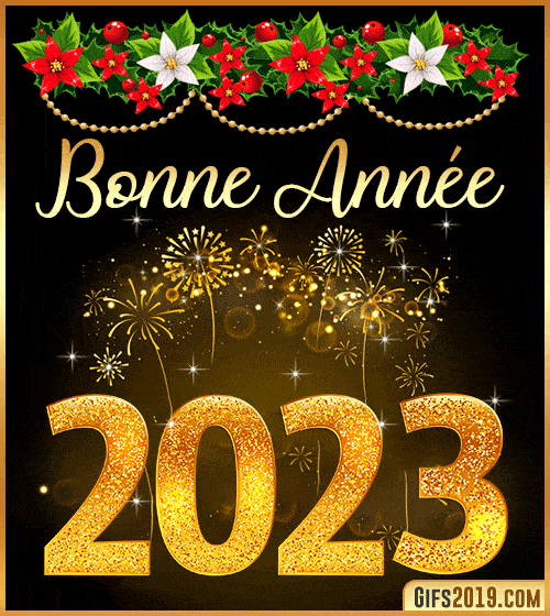 bonne-annee-2023-gif