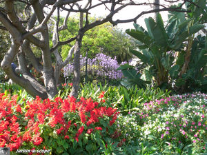 9066_Parc_Santa_Catarina