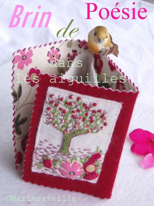 carnet fruits rouges marimerveille