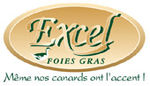 ExcelFG_logo