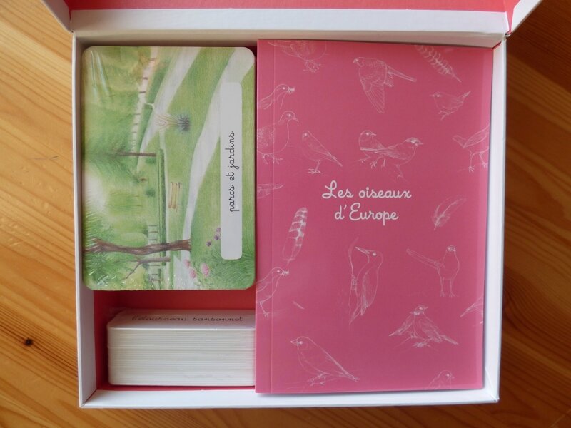 Coffret Montessori oiseaux (1)