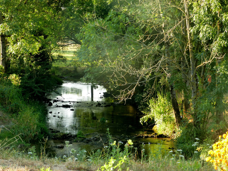 P1550435