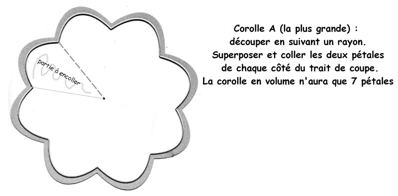 138_Fleurs_Fleurs en volume (grande corolle)
