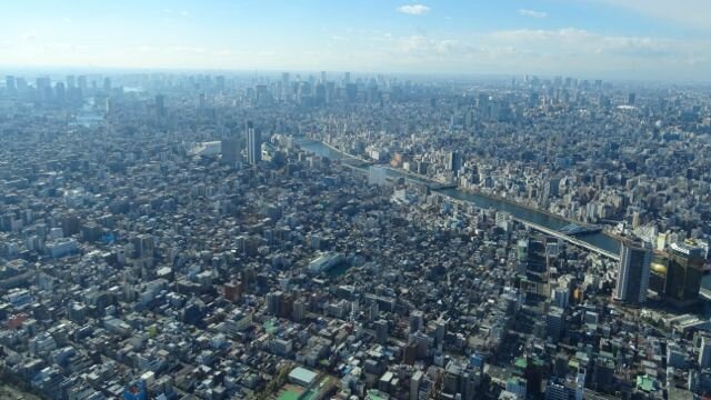 DSC06517