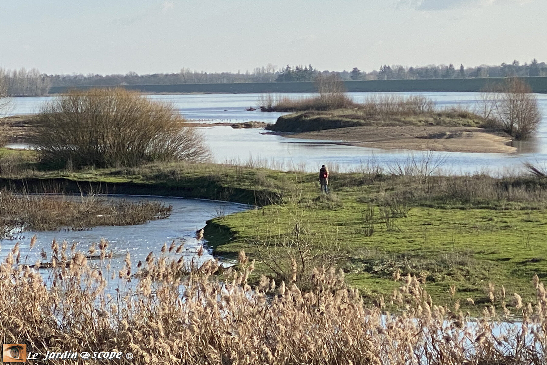 Bord de Loire à Combleux (45) - Janvier 2021