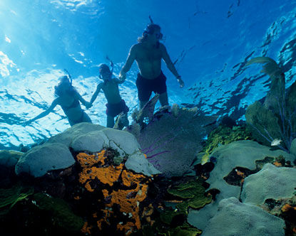 snorkeling2