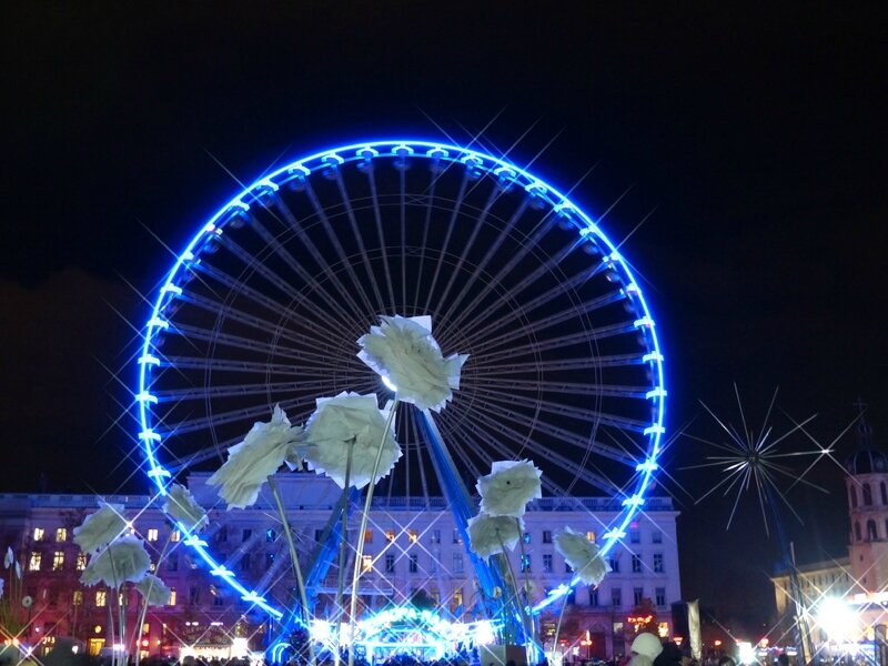 roses-roue