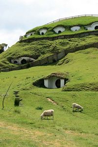 __new_zealand___The_Lord_of_the_Rings_Hobbit_House_New_Zealand1