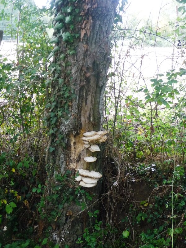Ils ne sont pas pour une omelette!!!