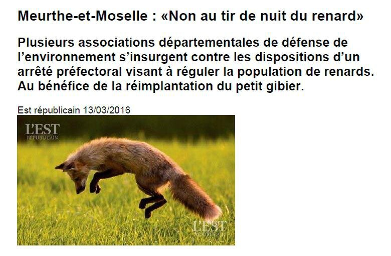 renards meurthe et moselle