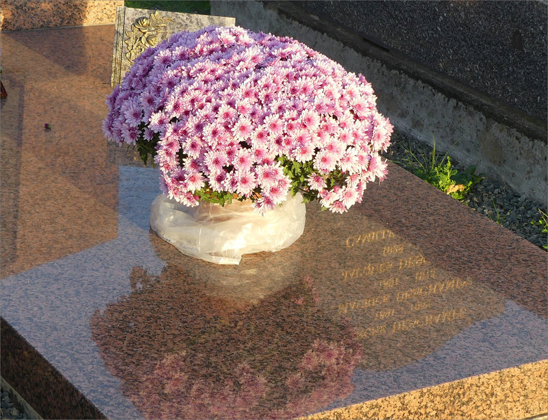 Niort cimetière Cadet 011122 ym 10 fleurs reflet
