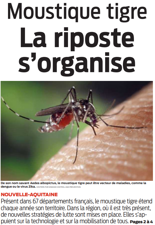 2022 06 11 SO Moustique-tigre la riposte s'organise