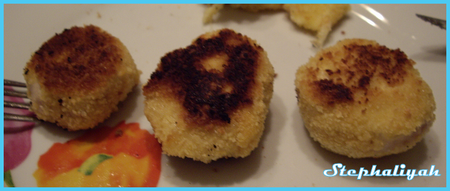 Nuggets_maison_au_fromage____16_juillet_2010