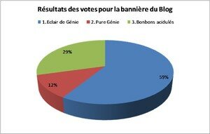 Vote_banni_re_Affichage_Web_grand_format