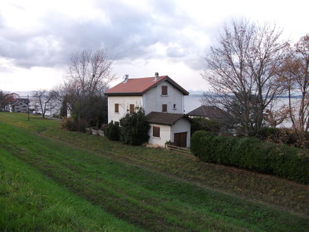 DSCF0720