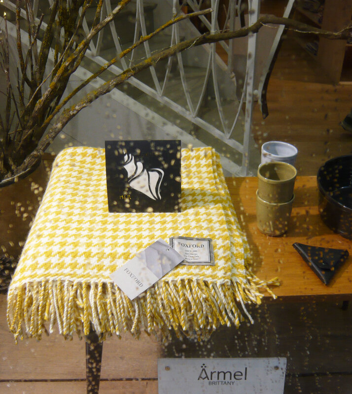 vitrine_janvier_18