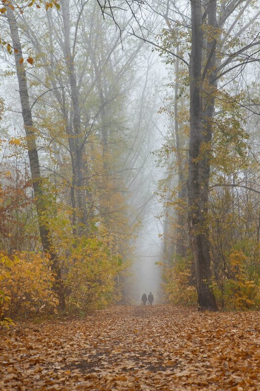 stockvault-couple-in-the-forest213989