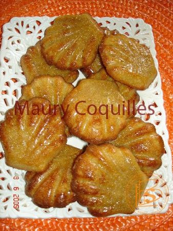 maury_coquilles