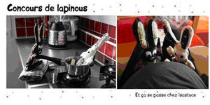 concours_lapin