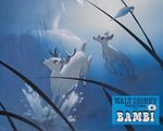 bambi_photo_france_1970s