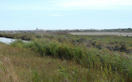 Saintes_Maries_de_la_Mer__23_a