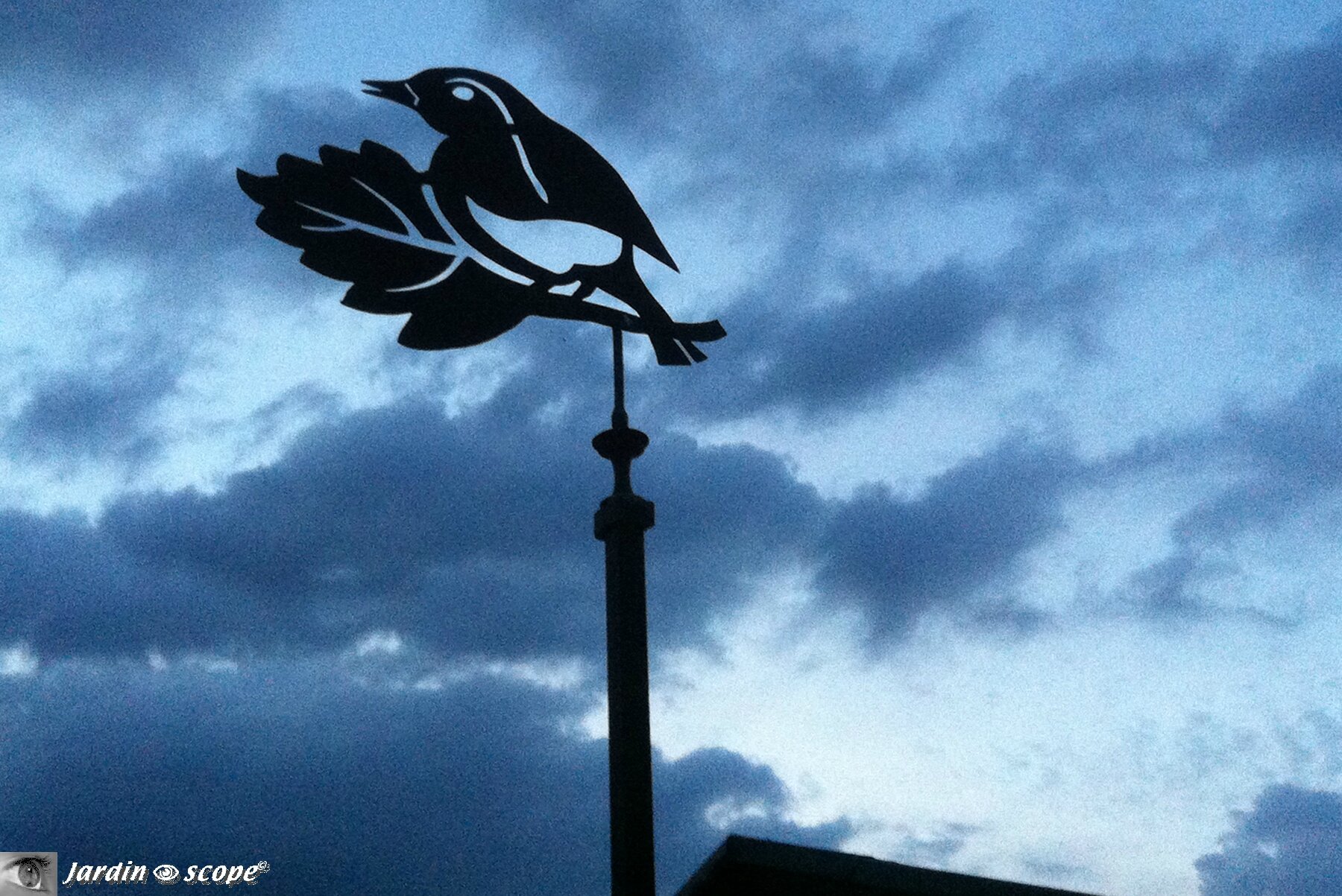 Girouette représentant un oiseau