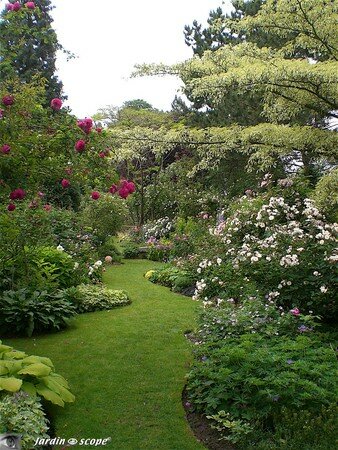 Jardin privé du rosiériste André EVE