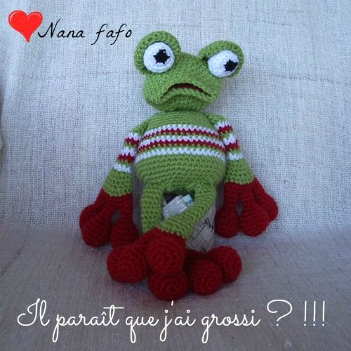 Grenouille-crochet-02