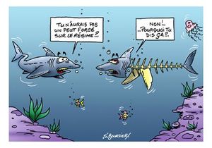 Requin regime