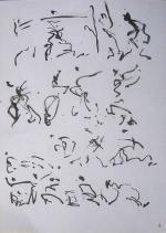 DSCN0716