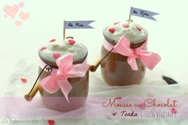 mousse choco bio tonka valentin