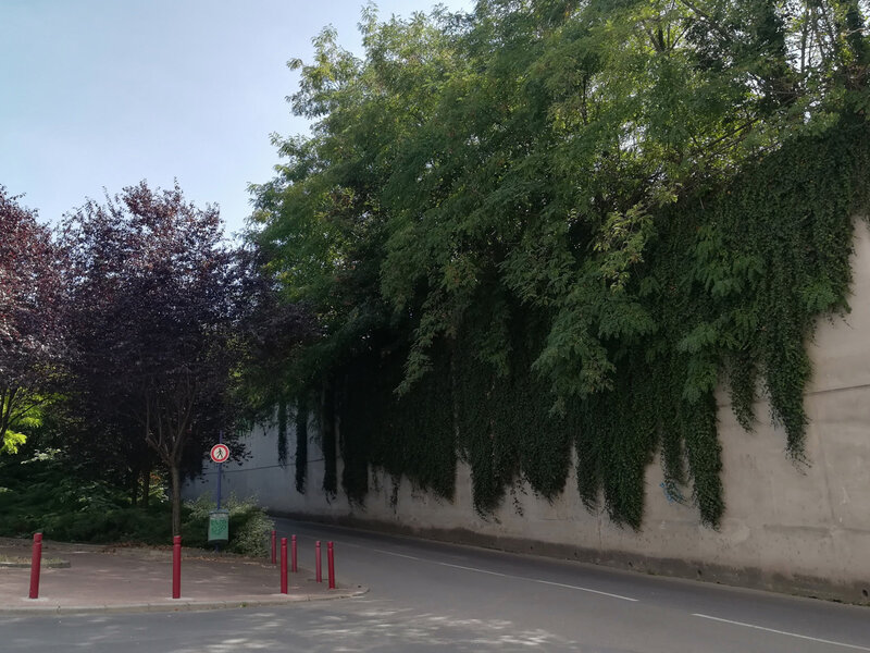 rue la Brosse (haut), 2 août 2018 (4)