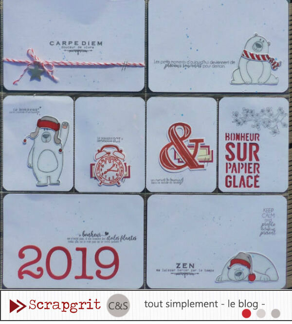 scrapgrit janvier CS