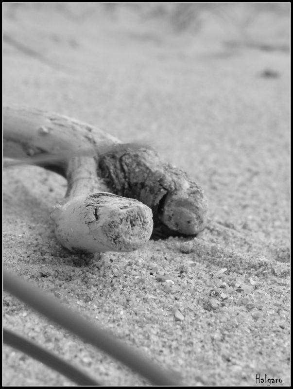 les sables d'olonnes paques 2013 413 1