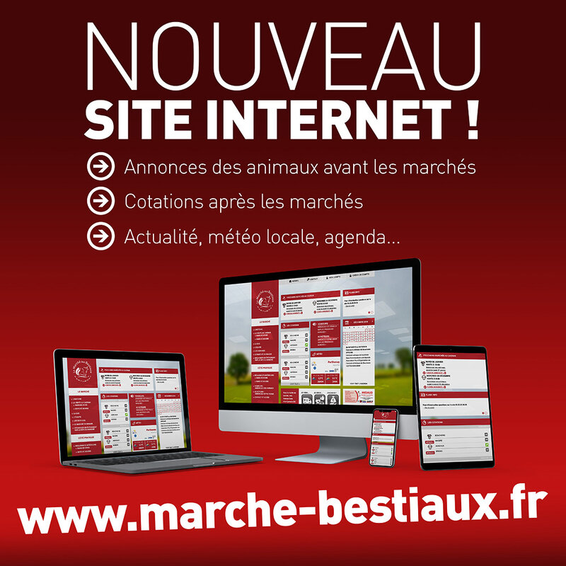 MARCHE AUX BESTIAUX - ANNONCE OUVERTURE SITE INTERNET