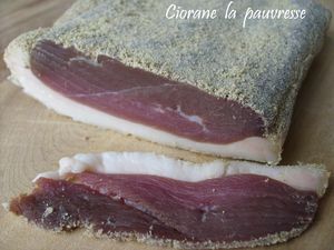 magret_seche_tranche